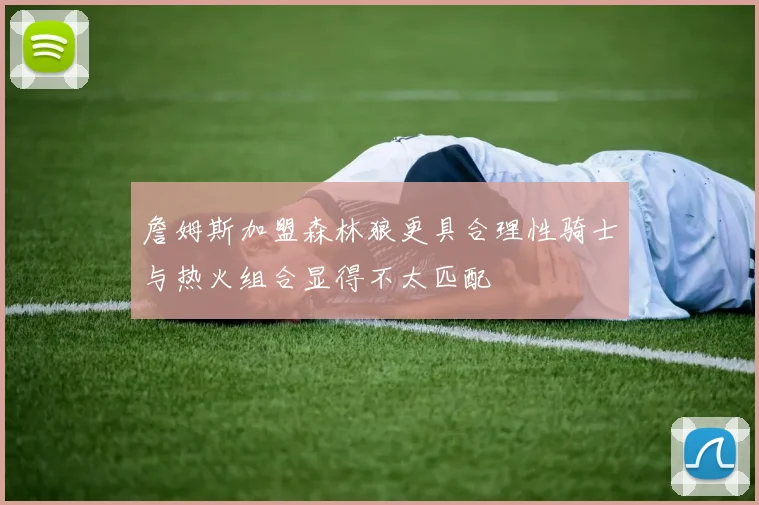 詹姆斯加盟森林狼更具合理性骑士与热火组合显得不太匹配