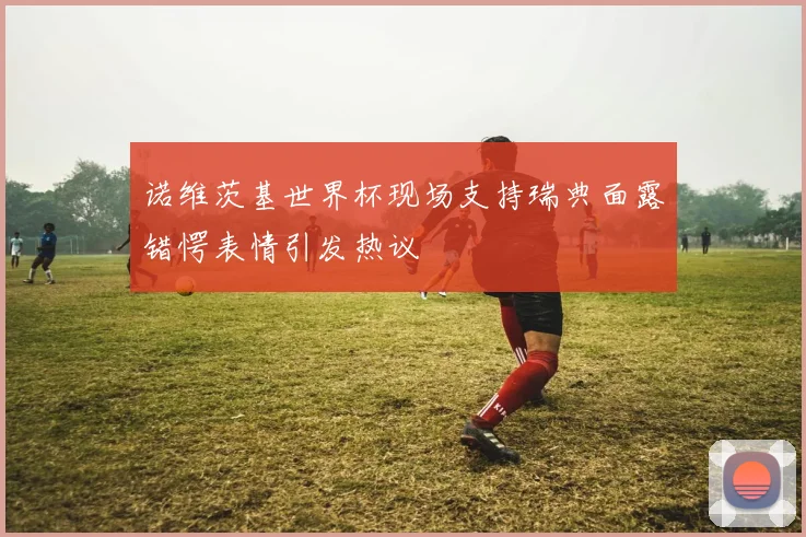 诺维茨基世界杯现场支持瑞典面露错愕表情引发热议